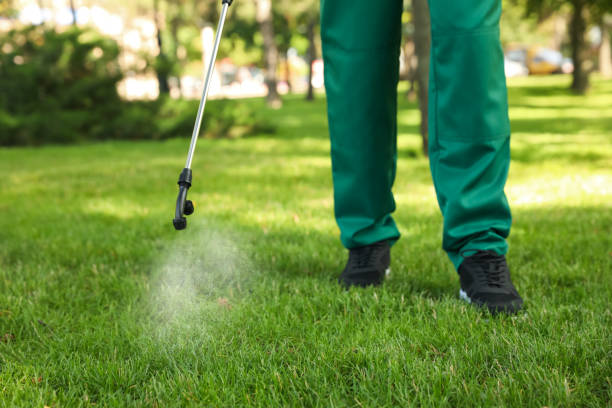 Best Pest Removal Services  in Erin, TN