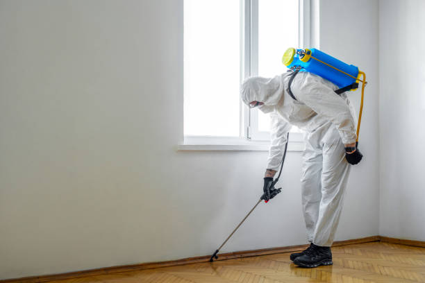 Best Local Pest Control Services  in Erin, TN