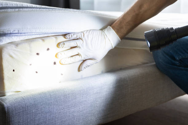 Best Commercial Pest Control Services  in Erin, TN