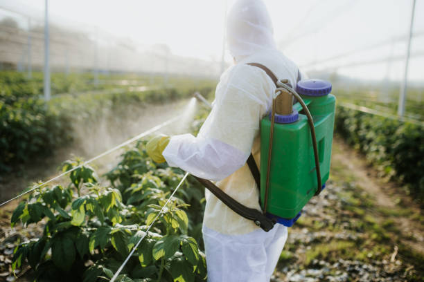 Best Affordable Pest Control Services  in Erin, TN